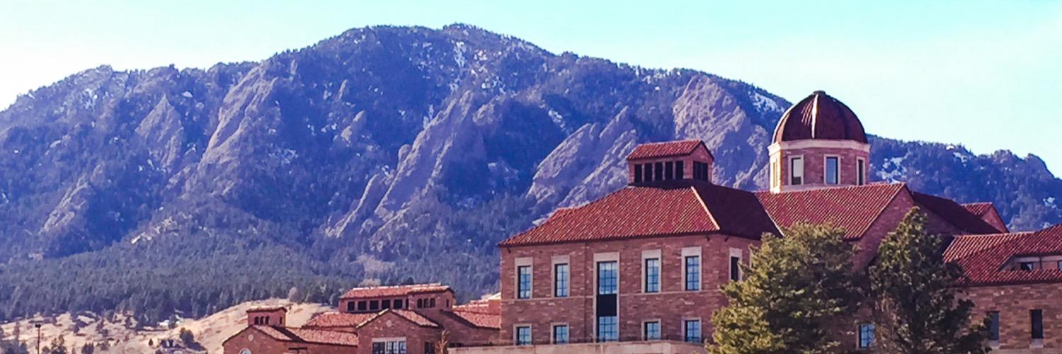 proctor_aly's profile banner image