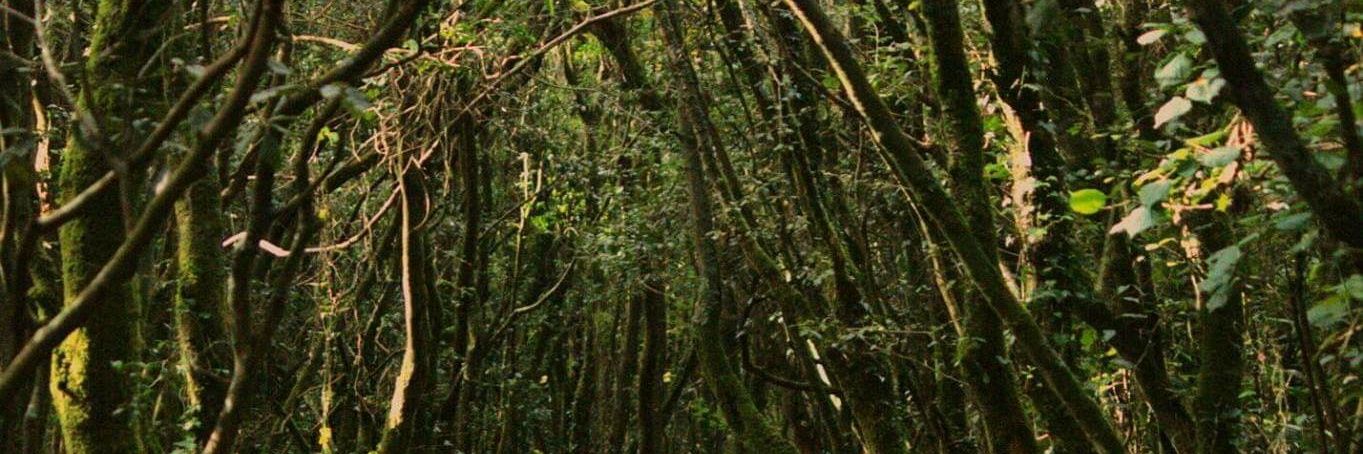 Evams44's profile banner image