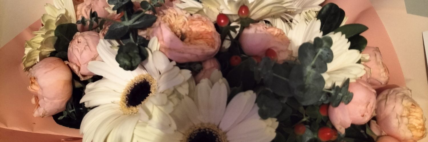Karito 🌸✨️☁️ banner