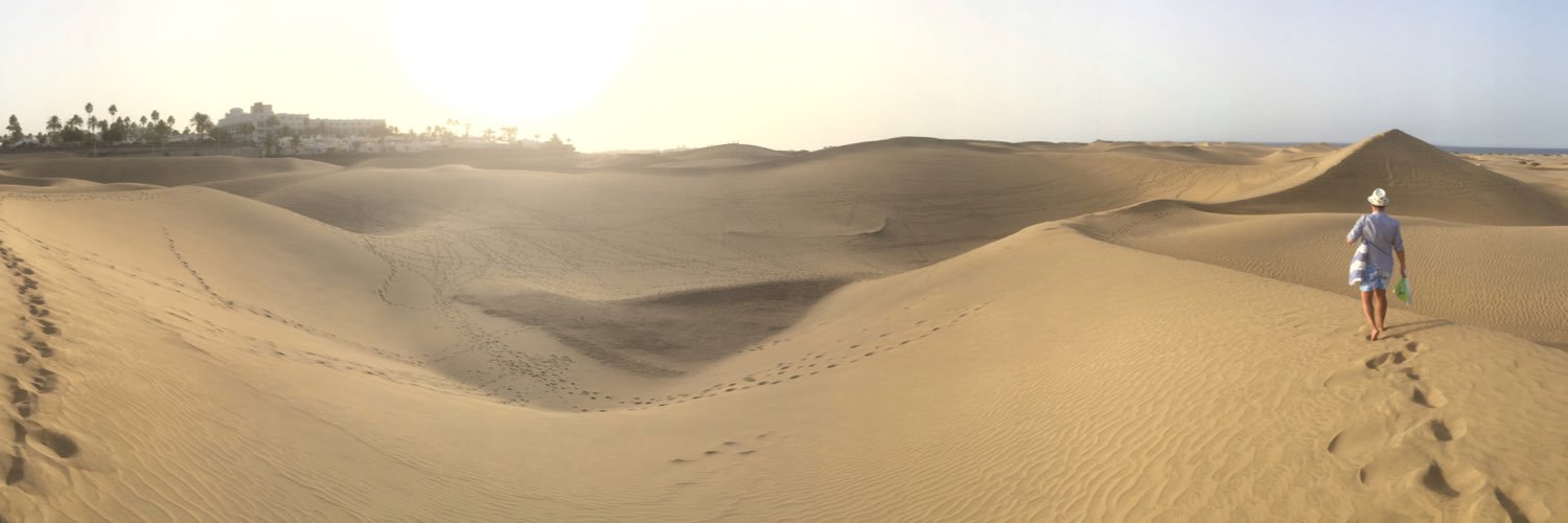 sergitario_'s profile banner image