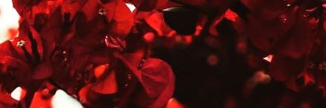 JssPinkK's profile banner image