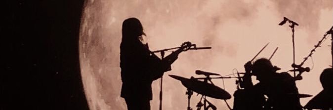 lostinwallows's profile banner image