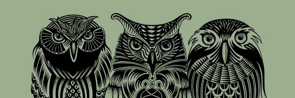 DrLSChiu Profile Banner