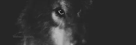 asmablacky's profile banner image
