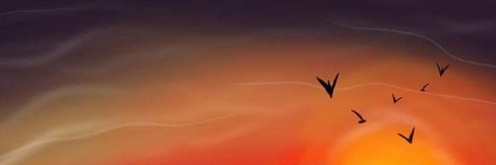 sil_pole's profile banner image