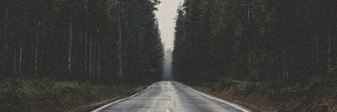 BrandomJosue's profile banner image