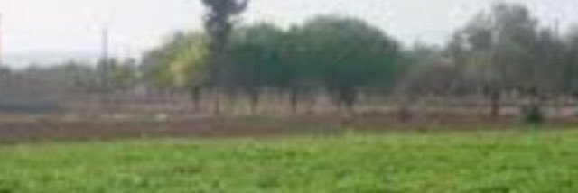 mohammed303241's profile banner image