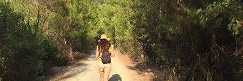 Zzepplinn's profile banner image