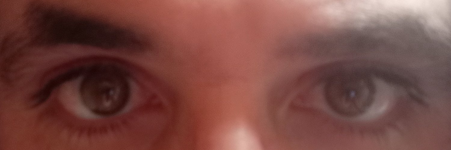 El_investigador banner