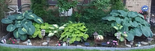 Kpascuch Profile Banner