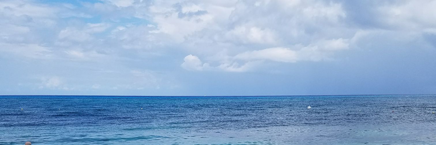 allywilliams44's profile banner image