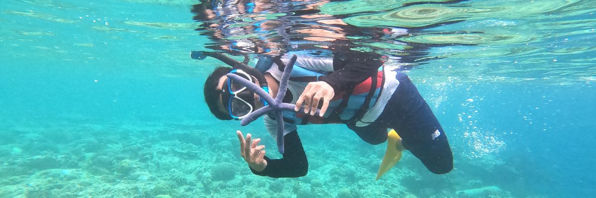 ariyo wicaksono banner