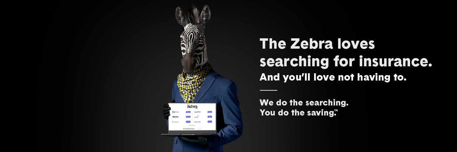 The Zebra banner