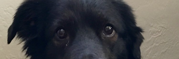 RGrifith's profile banner image
