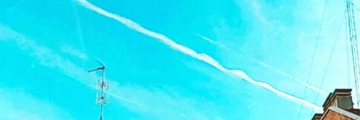 Lidiandox's profile banner image