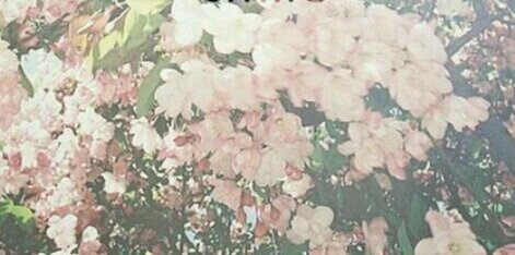 tan_ida's profile banner image