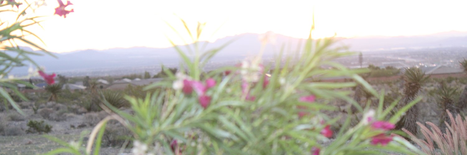 KathinPA's profile banner image