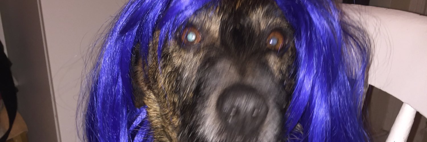 BexRedfearn's profile banner image