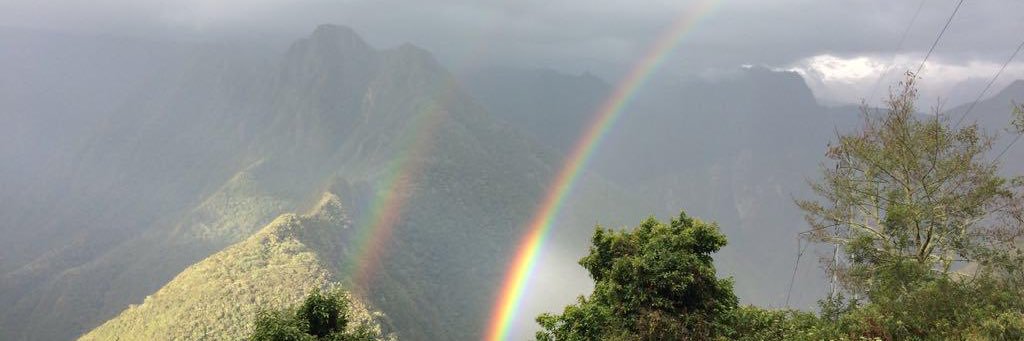 DanutaWeyh's profile banner image