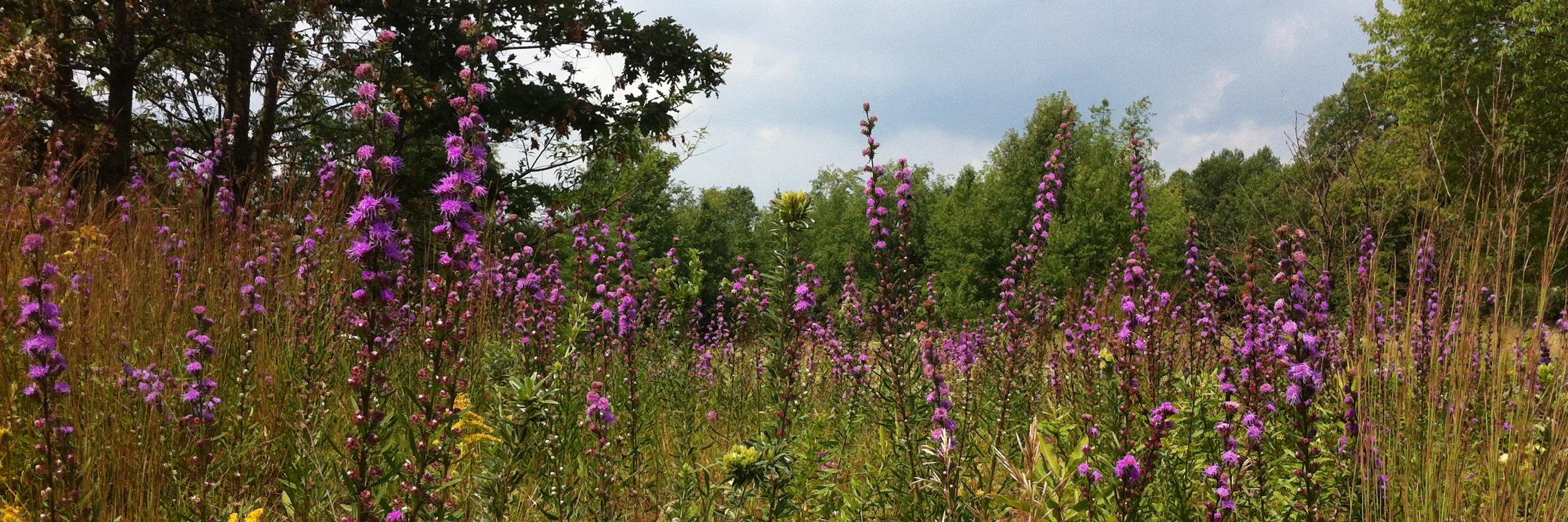 metroparksNRD's profile banner image