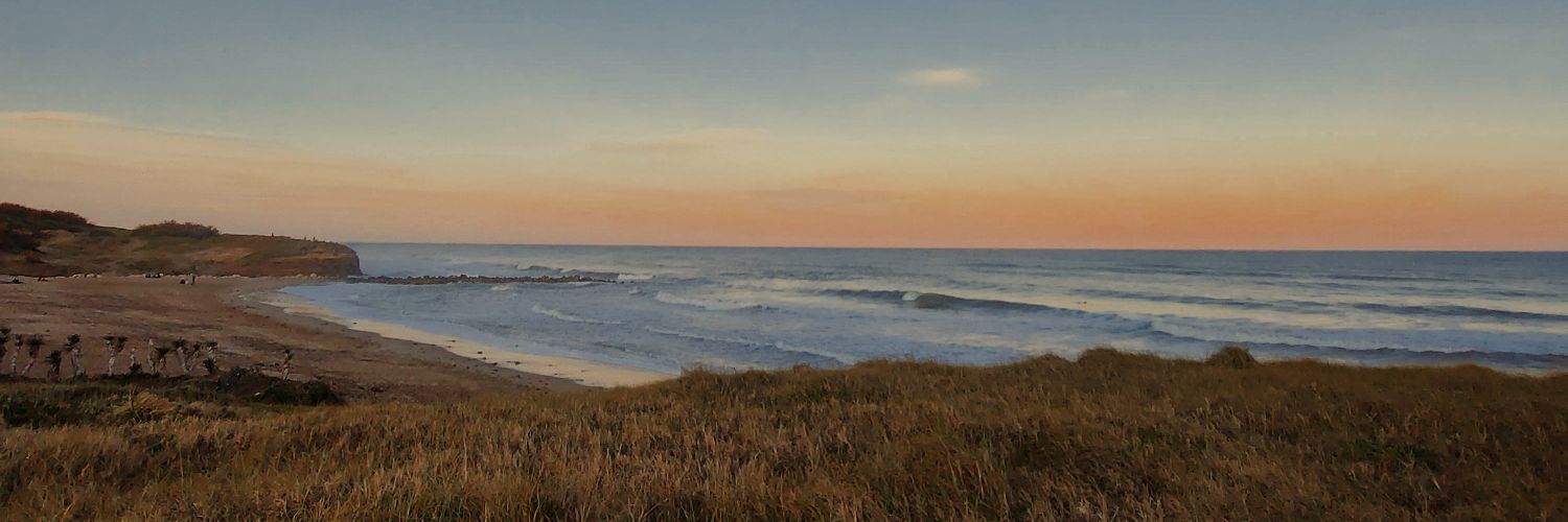 roochi_jacobs's profile banner image