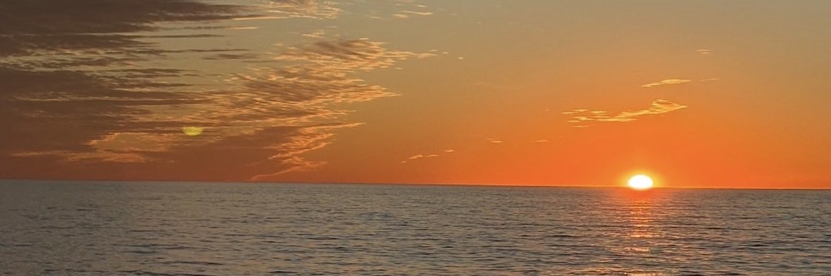 MaggioCapital's profile banner image
