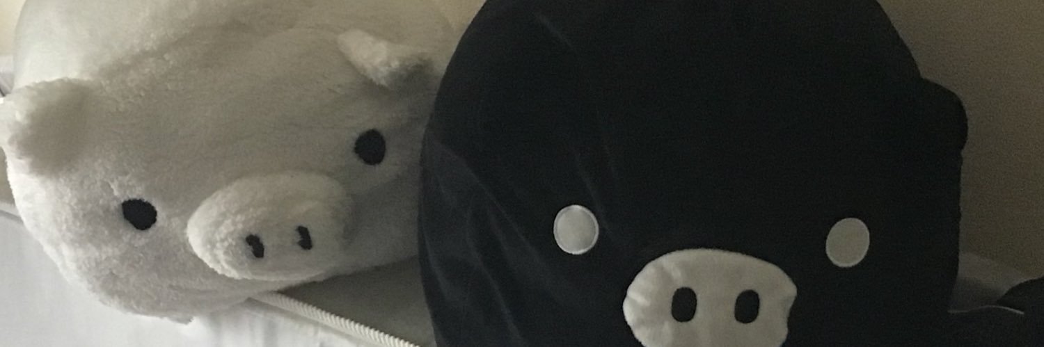 mart_stability's profile banner image