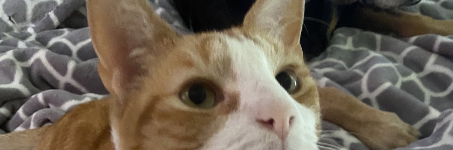 its_jojochan's profile banner image