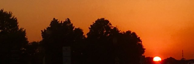 Beuuz_'s profile banner image