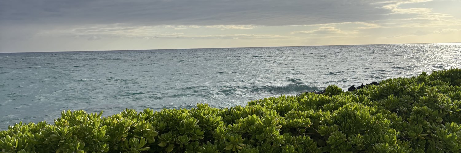 midorii__'s profile banner image