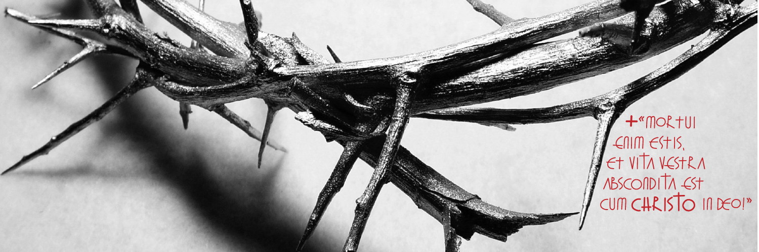 Yair237's profile banner image