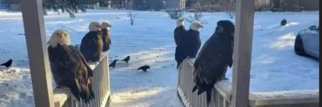 Brian Warren 🇺🇸 🇺🇸 🇺🇸 banner