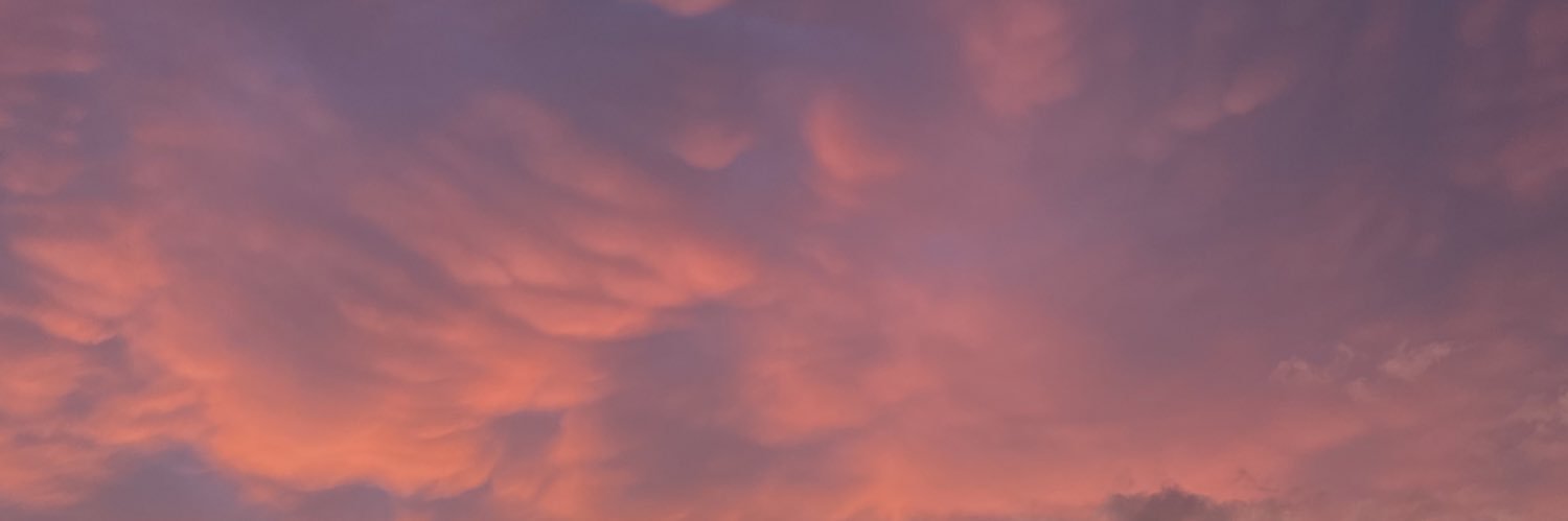 LisaDidot's profile banner image