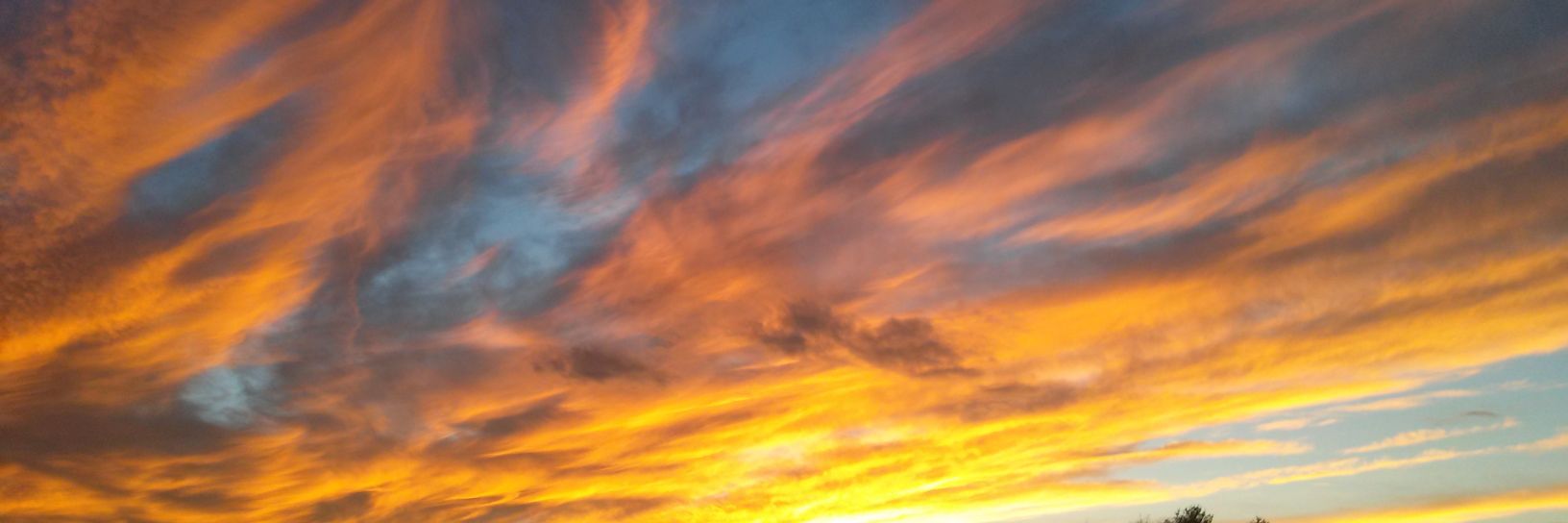 LivingUnited's profile banner image