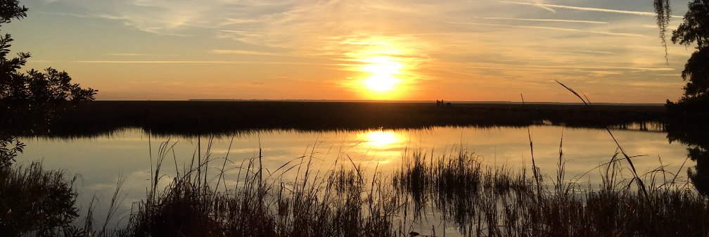 DonaldPJames's profile banner image