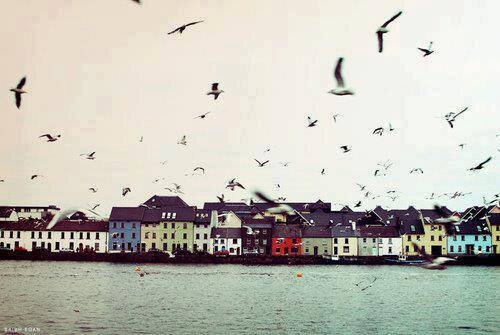 ツأَسْــمَــاء banner