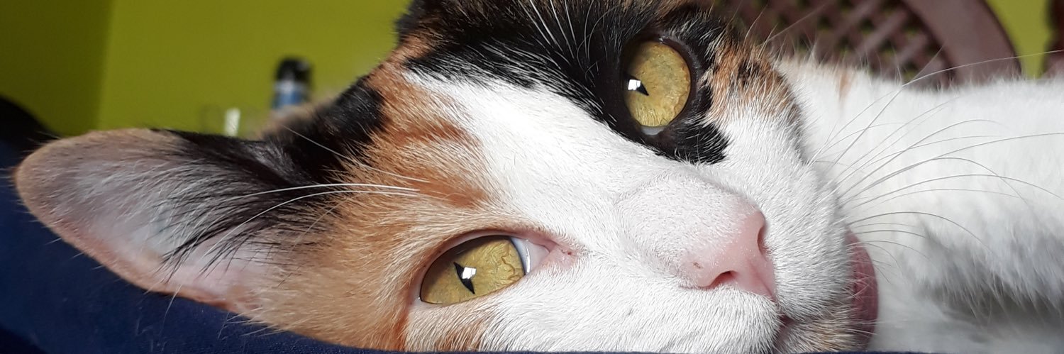 ConiVillagran's profile banner image