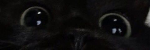 AndrewPacius's profile banner image