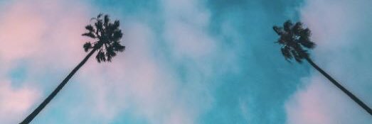 PROPAA's profile banner image