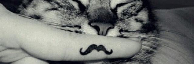 LandOfTats's profile banner image