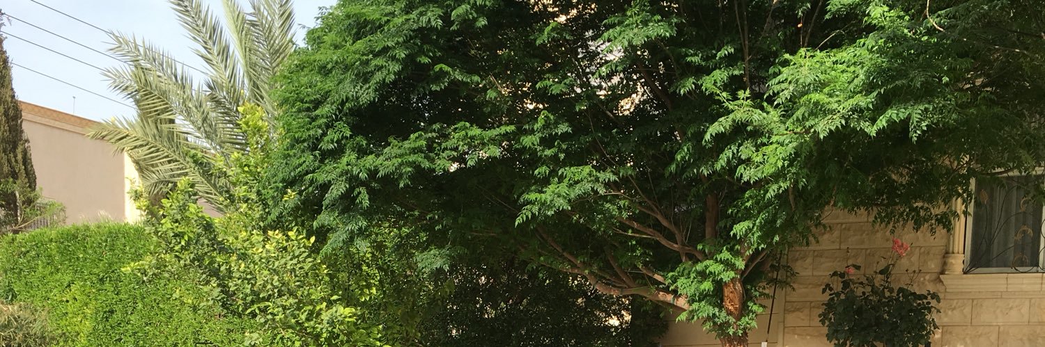 aliabudhir's profile banner image
