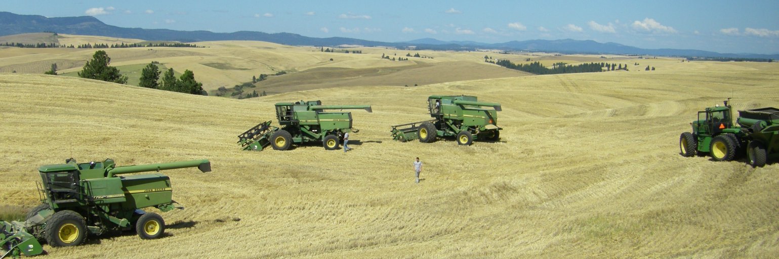 RimRockRanches's profile banner image