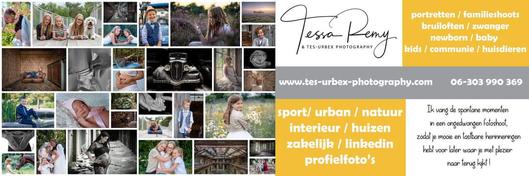tessaremy's profile banner image