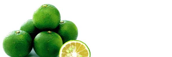 Citrus_sphaeroc's profile banner image