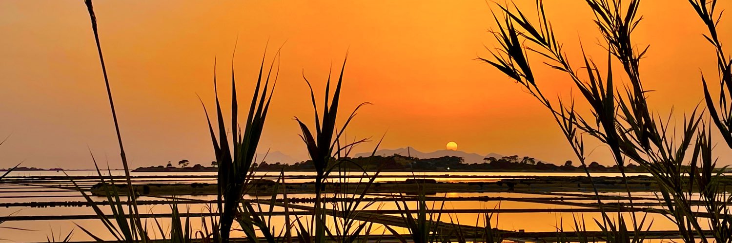 GullottaS's profile banner image