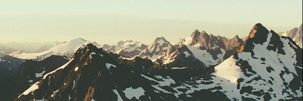 aralbertson's profile banner image