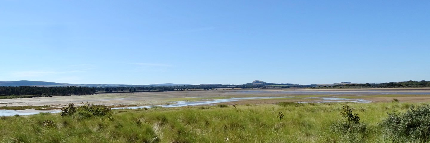 Steve Richards banner