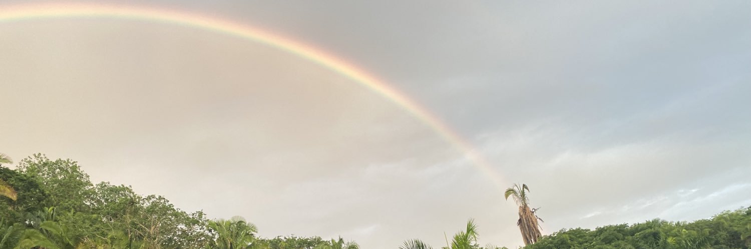 CasaMiaDesigns's profile banner image