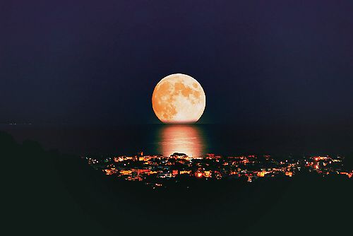 billtheos's profile banner image