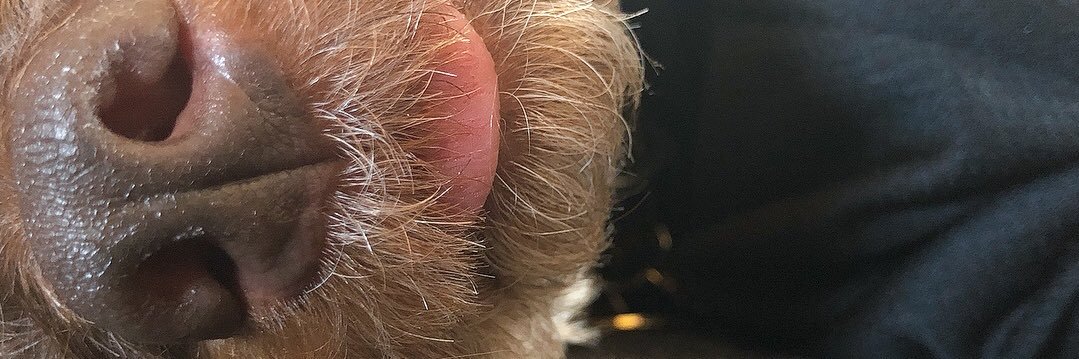 a____rare's profile banner image